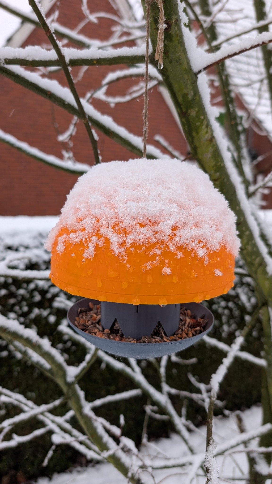 Orangefarbener 3D-gedruckter Vogelfutterspender im Baum