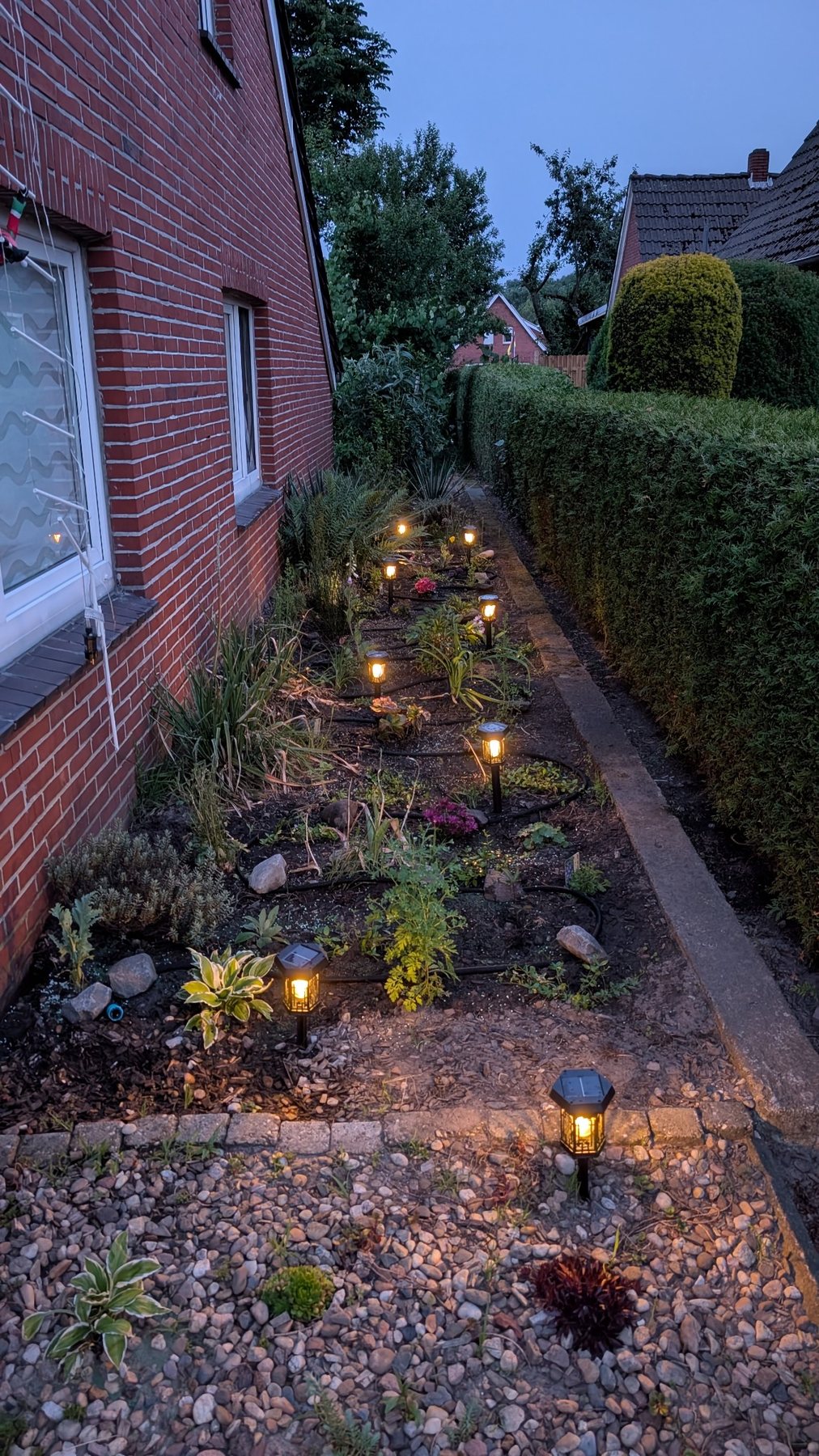 Beleuchtetes Staudenbeet am Haus in der Abenddämmerung