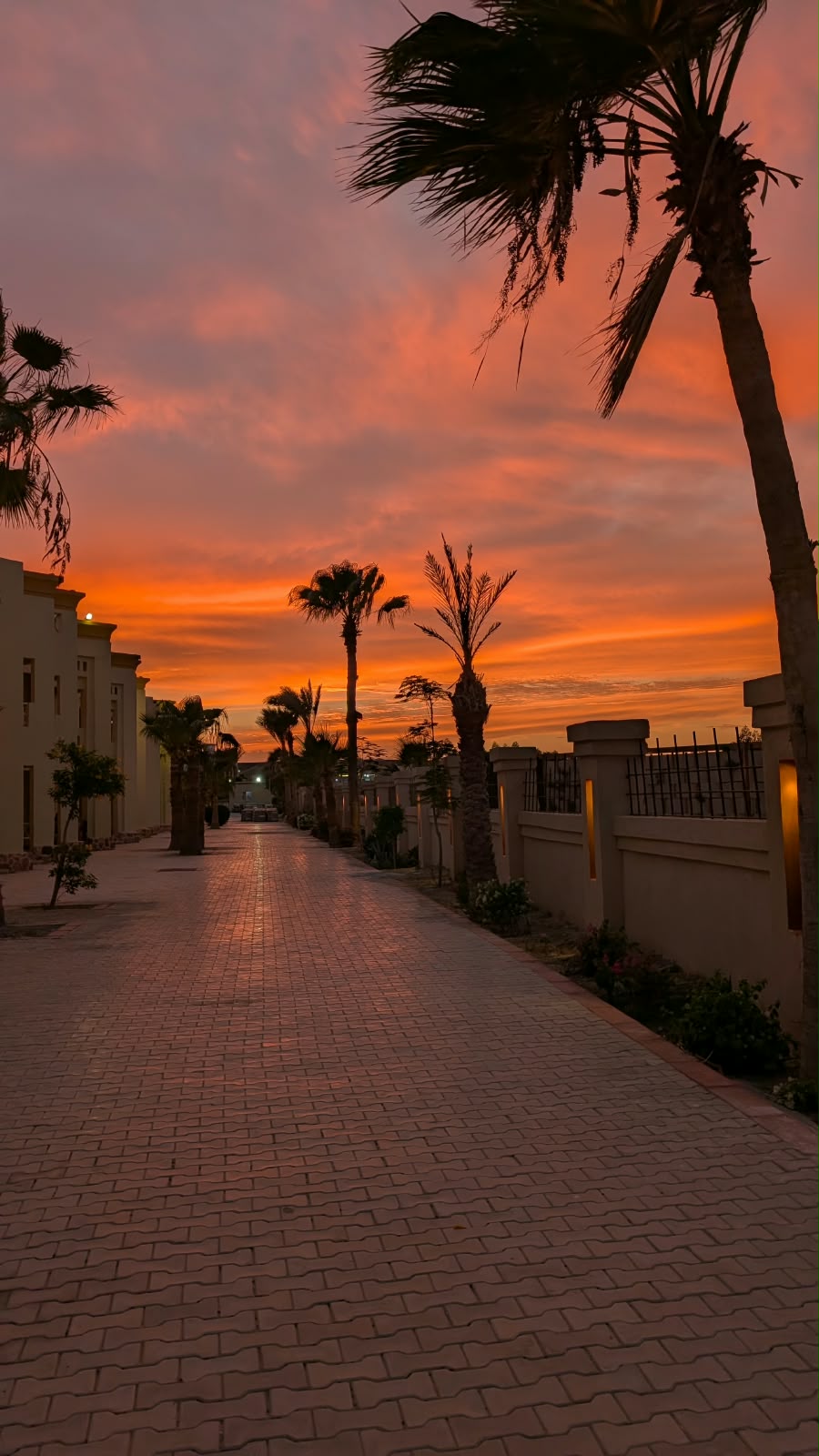 Sonnenuntergang im Ägypten-Urlaub 2026
