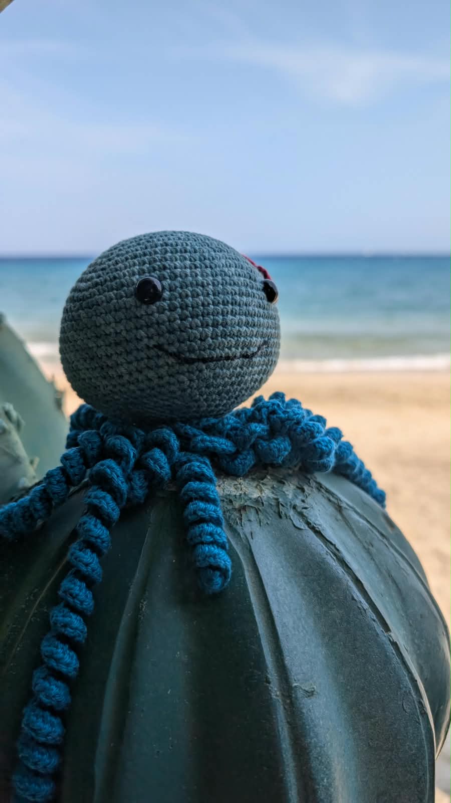 Pussi, die gehäkelte Krake, mit Blick auf das Rote Meer