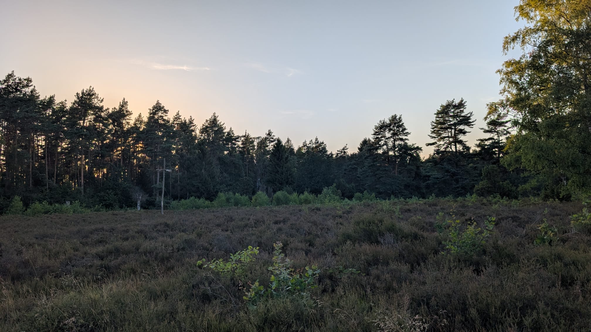 Abendstimmung in der Lüneburger Heide