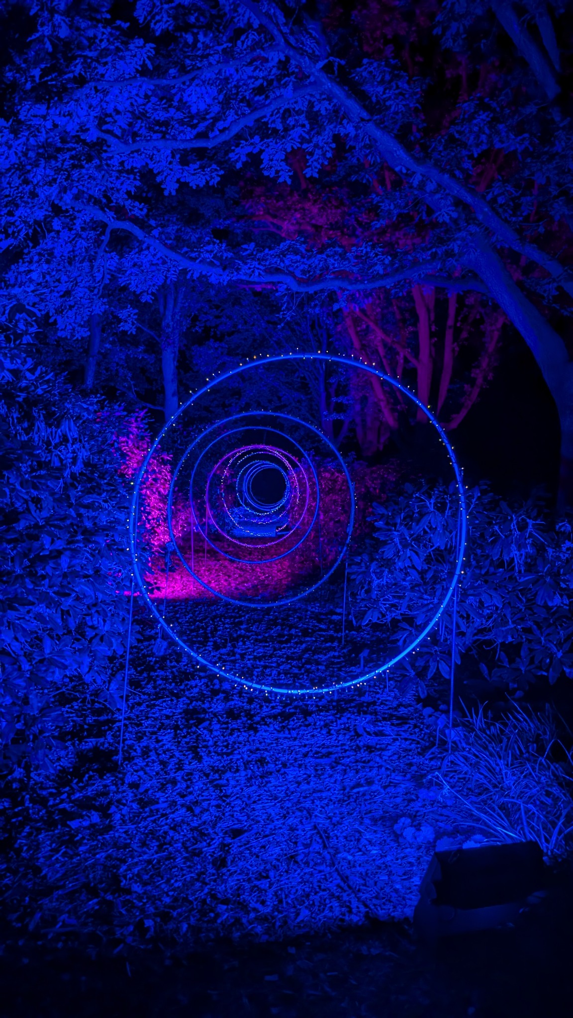 Leuchtende Ringe im Park der Gärten