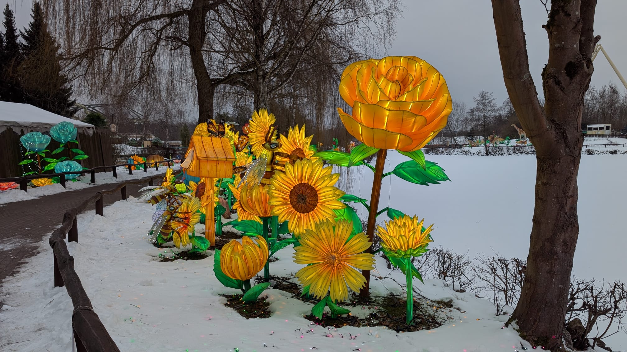 Leuchtende Blumen im Schnee